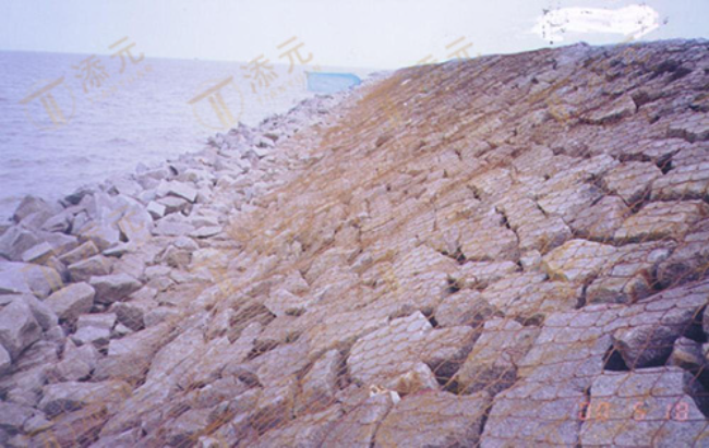 1999年 南汇东滩促淤围垦一期工程八标