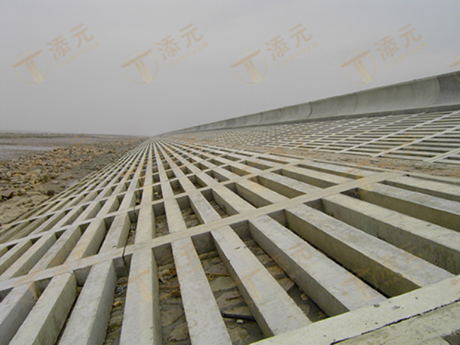 2003年 南汇东滩促淤围垦四期工程一标